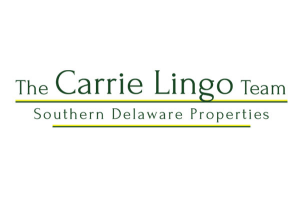 Sponsor Logo for The Carrie Lingo Team