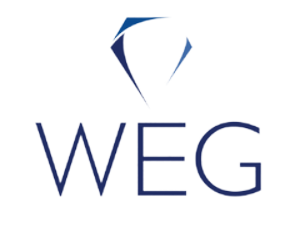 Sponsor Logo for Weinfeld Education Group