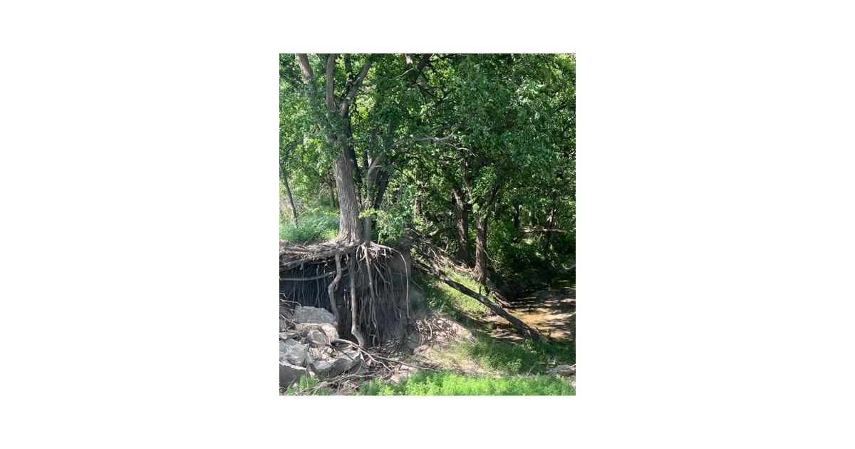 Tipton Picnic Trail 5K Run / 2 Mile Walk / Kids Run Live