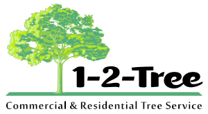 Sponsor Logo for 1 2 Tree & Silent-Lights