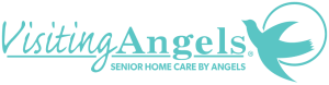 Logo for Visiting Angels of Seminole County