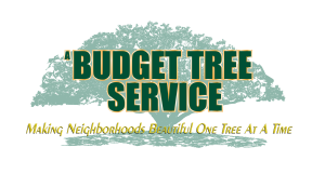 Logo for A Budget Tree Service