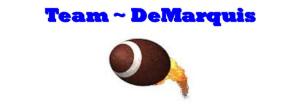 Sponsor Logo for Team DeMarquis