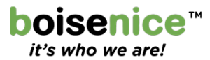 Logo for Boise Nice