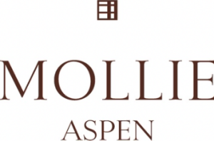 Sponsor Logo for Mollie Aspen