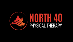 Partner Logo for North 40 Physical Therapy