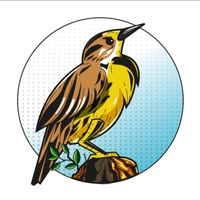 Partner Logo for Meadowlark Tree Service