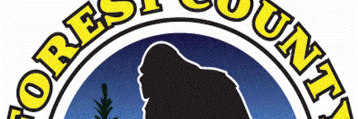 Forest County Bigfoot Festival 5k