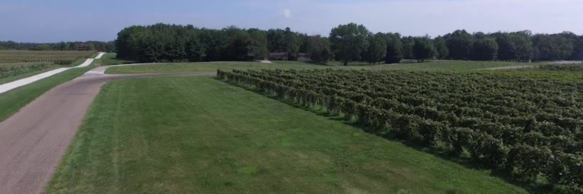 Lake Hill Wine Run 5k