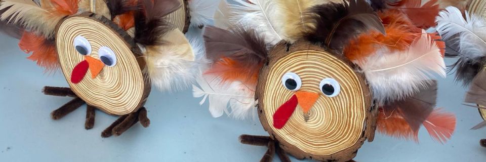 T-Town Turkey Trot