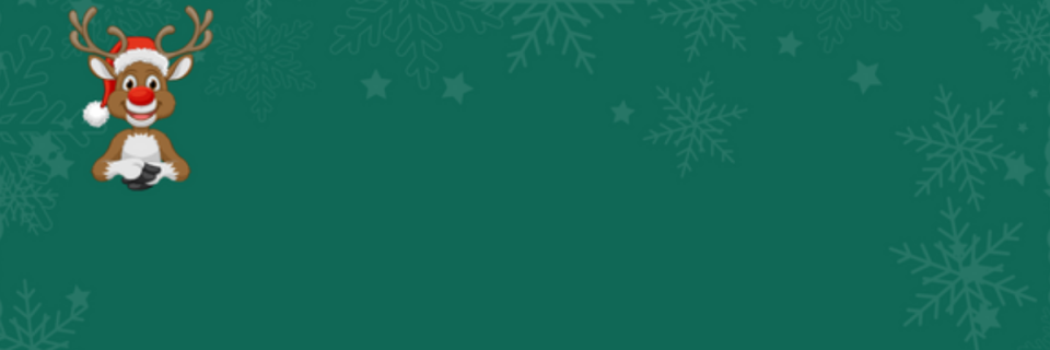 The Reindeer Race