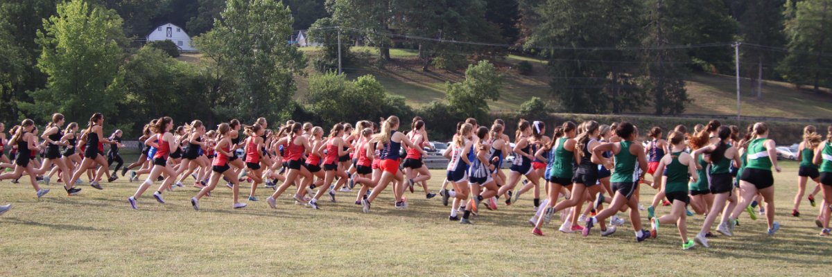 はに Huntington/Wayne XC Invitational