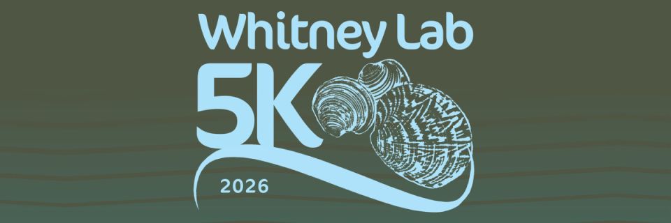 Whitney Lab 5K