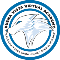 Buena Vista Virtual Academy (6-8)