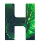 Humana GB Bellin Run 2026