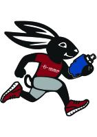 Deublin Rotary Runners