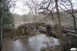 View Race Day in new tab