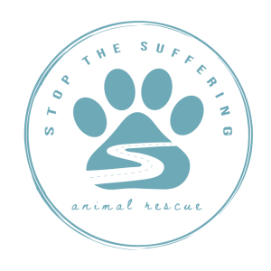 View 2025 Stop The Suffering 5K in new tab