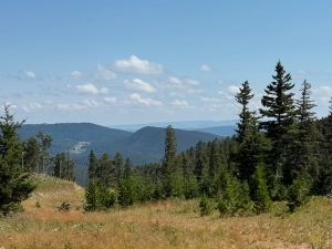 View Aid Station mile 2 in new tab