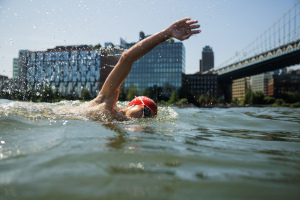 View Photos By Paul Frangipane in new tab