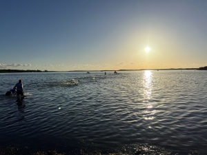 View Swim in new tab
