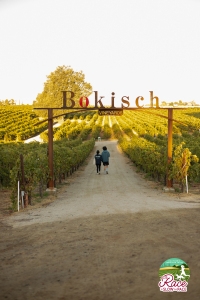 View Event in new tab