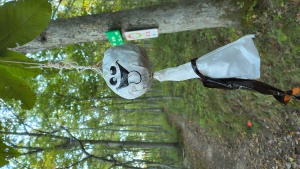 View Trail in new tab