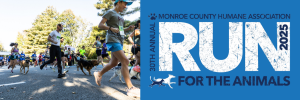 View 30th Annual Run for the Animals by Luke Miller Photography, Oct 5, 2025 in new tab