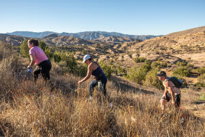 View Final Mile Part 2 in new tab