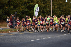 View Pumpkin Run 2025 in new tab