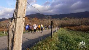 View Sparks Lane 2025 in new tab