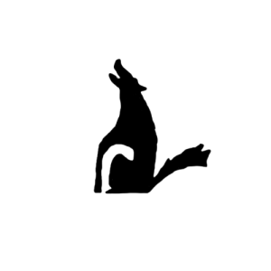 View The COYOTE 2026 in new tab