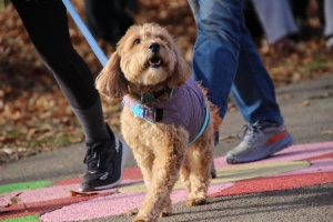 View Finish Line B in new tab