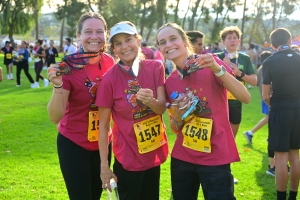 View Festival in new tab