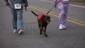 View OnCourse in new tab