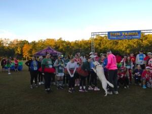 View Run Tampa Club Group in new tab