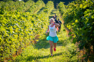 View The Course in new tab