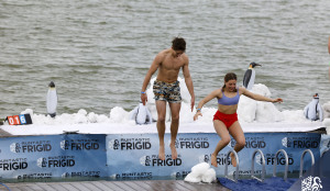 View Penguin Plunge in new tab