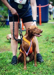 View The Torch Run 2025 in new tab