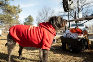 View Finish Line in new tab