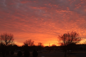 View Pre-Race in new tab