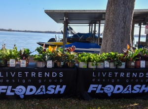 View Awards in new tab