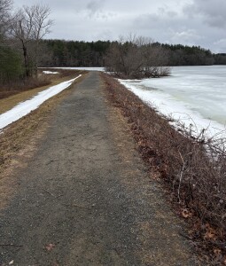 View Jose Jog Course in new tab