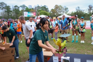 View Volunteers in new tab