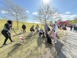 View Dean's List K9 Pack Walk in new tab