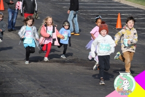 View Lil Bunny Fun Run in new tab