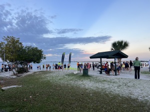 View Swim in new tab