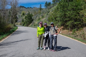 View Mile 12 in new tab