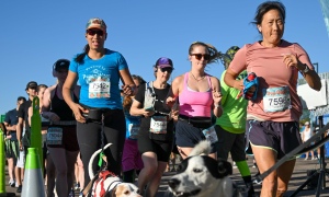 View Start line in new tab