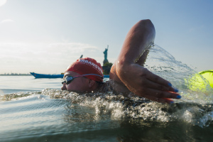 View Photos by Paul Frangipane in new tab